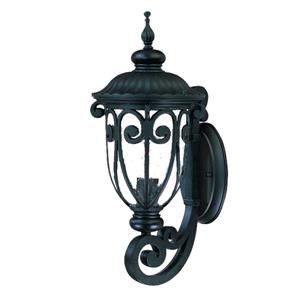 Acclaim Lighting Naples 18.00-in x 7.50-in Matte Black Wall Mounted Lantern