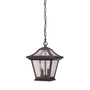 Acclaim Lighting Aiken Lantern - 2 Bulbs - 12-in - Bronze