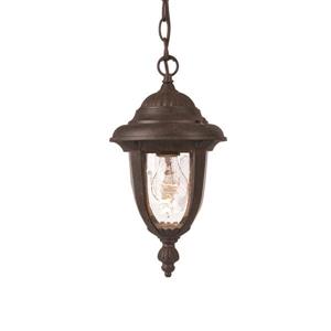 Acclaim Lighting Monterey Lantern - 1 Bulb - 14" - Black