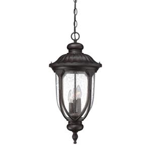 Acclaim Lighting Laurens Lantern - 3 Bulbs - 24.5" - Black