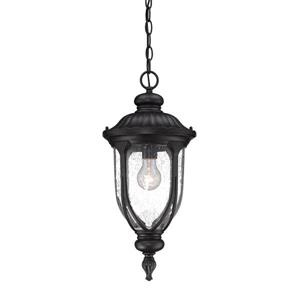 Acclaim Lighting Laurens Lantern - 1 Bulb - 20.5" - Black