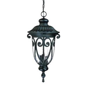 Acclaim Lighting Naples Lantern - 3 Bulbs - 24.5-in - Black