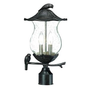 Acclaim Lighting Avian Outdoor Lantern  - 2 Bulbs - Black