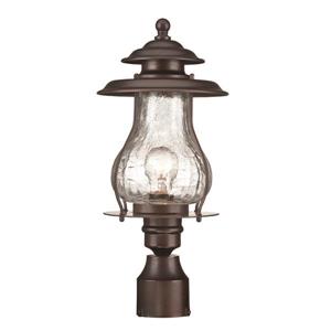 Acclaim Lighting Blue Ridge Outdoor Lantern  - 1 Bulb - Steel - Bronze