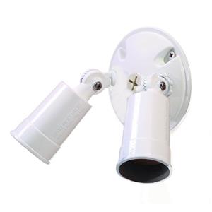 Acclaim Lighting Cast Aluminum Adjustable 4.5-In x 4.5-In 2-Lights White Floodlight