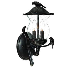 Acclaim Lighting Avian 16.50-in x 8-in Black Coral Mounted Wall Lamp