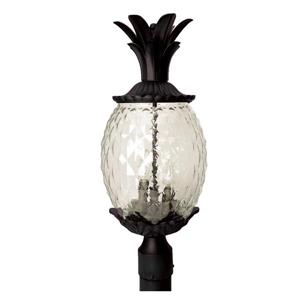 Acclaim Lighting Lanai Outdoor Lantern  - 3 Bulbs - Black