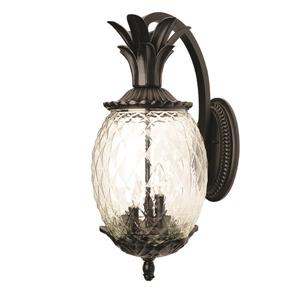 Acclaim Lighting Lanai 21.75-in Matte Black Clear Glass 3-Light Outdoor Wall Light