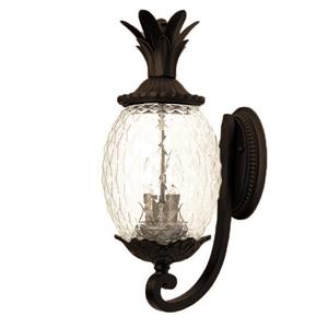 Acclaim Lighting Lanai 21.75-in Matte Black Clear Glass 3-Light Outdoor Wall Lantern