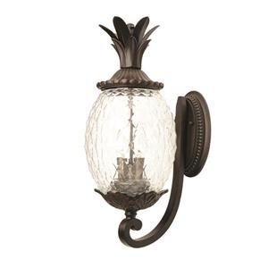 Acclaim Lighting Lanai 21.75-in Matte Black Clear Glass 3-Light Outdoor Wall Lantern