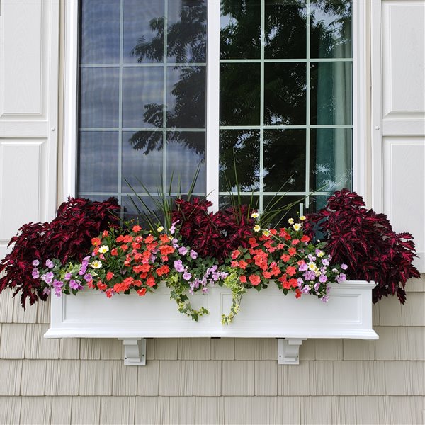 Mayne Fairfield 4-ft White Window Box 5823-W | RONA