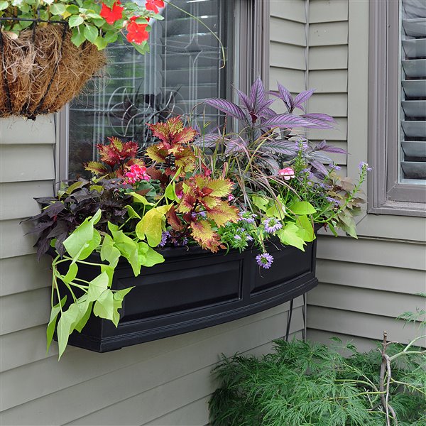 Mayne Nantucket 4-ft Window Flower Box - Black