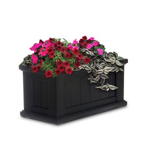 Mayne Cape Cod 24-in x 11-in Black Patio Planter