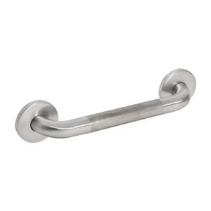 Taymor Safety Basics Concealed Mount Stainless Steel 24-in Safety Grab Bar