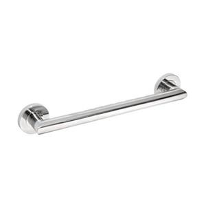 Taymor Safety Plus Astral Stainless Steel 16-in Safety Grab Bar