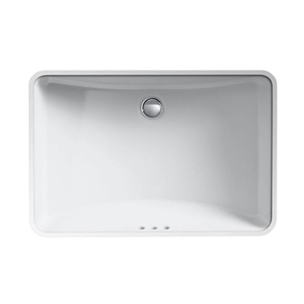 Kohler Co Ladena 23 25 In White China Fire Clay Rectangular