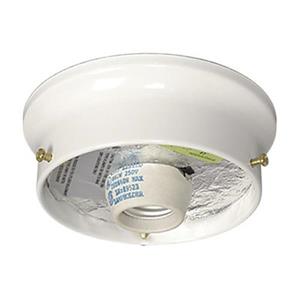 Galaxy Holder Flush Mount Ceiling Light