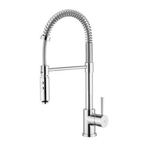 WS Bath Collections Evo 21-in Chrome Professional Kitchen Sink Mixer With 2 Spray Settings Sprayer