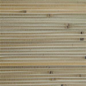 Walls Republic Bamboo Stack Grasscloth Beige/Yellow Paste the Wall Wallpaper