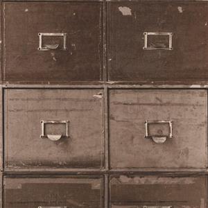 Walls Republic Brown/Brown Contemporary File Cabinet Wallpaper