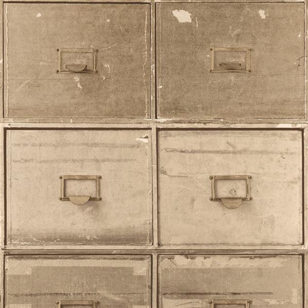 Walls Republic Tan/Brown Contemporary File Wallpaper R3708 RONA