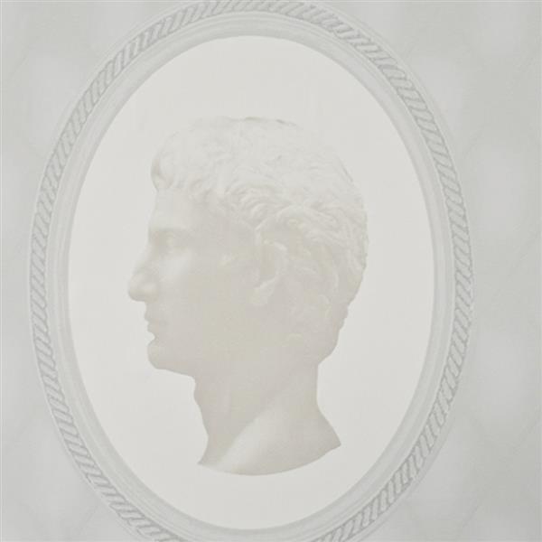 Walls Republic Cameo Picture Frame Paste The Wall Wallpaper R1342 | RONA