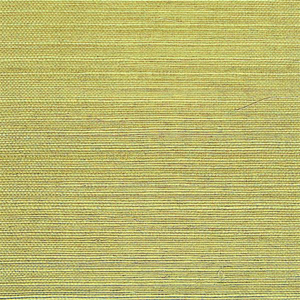 Walls Republic Sisal Grasscloth Yellow/Green 54sq-ft Unpasted Wallpaper