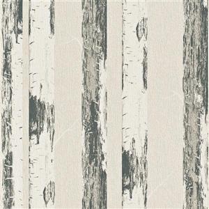 Walls Republic Multi-colored Contemporary Metallic Paper Birch Wallpaper