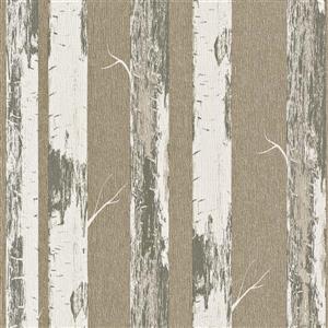 Walls Republic Gold Contemporary Metallic Paper Birch Wallpaper