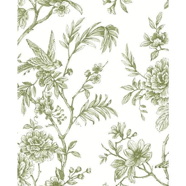 A-Street Prints Jessamine Green Floral Trail Unpasted Wallpaper