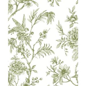 A-Street Prints Jessamine Green Floral Trail Unpasted Wallpaper