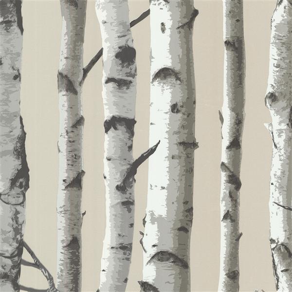 Brewster Wallcovering Irvin Grey Birch Tree Unpasted Wallpaper