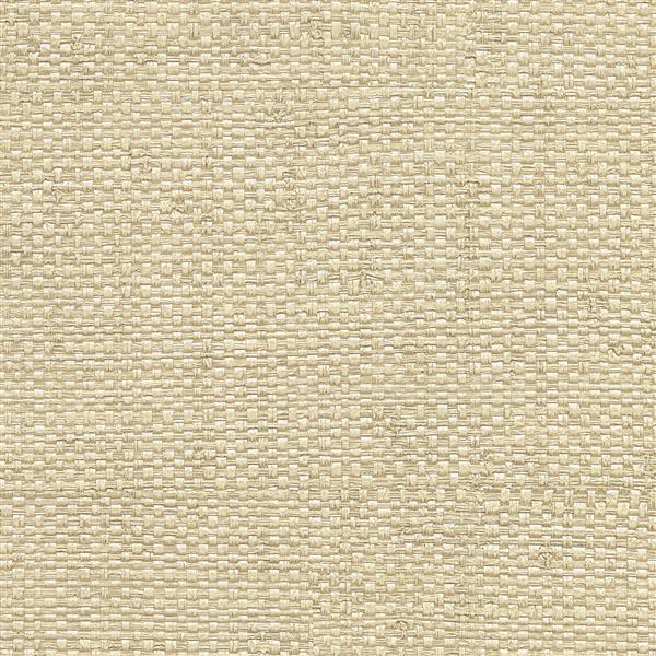 Brewster Wallcovering Caviar Neutral Basketweave Paste The Wall Wallpaper