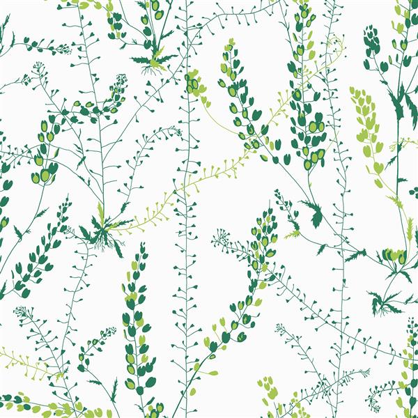 Brewster Wallcovering Bladranker Green Botanical Paste The Wall Wallpaper