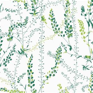 Brewster Wallcovering Bladranker Green Botanical Paste The Wall Wallpaper