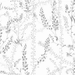 Brewster Wallcovering Bladranker Gray Paste The Wall Botanical Wallpaper