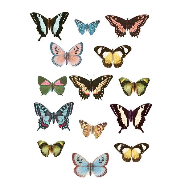 WallPops Spread Your Wings Wall Art Kit