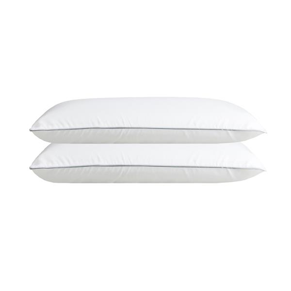 Millano Cotton 20-in x 36-in Pillows (Set of 2)