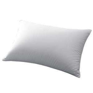 Millano Pillows 20-in x 27-in Polyester Blend (Set of 2)