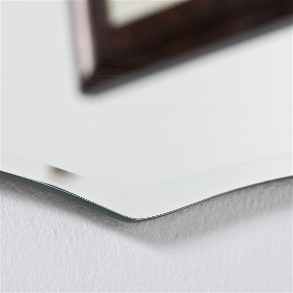 Decor Wonderland 23.6-in Bailey Mirror