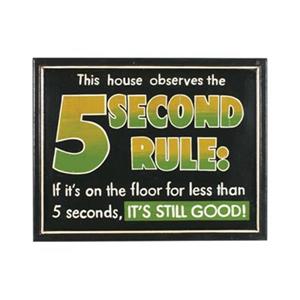 RAM Game Room Products 17-in x 21-in 5 Second Rule Outdoor Sign