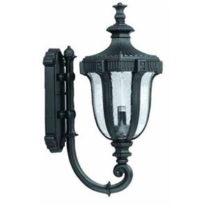 Amlite Lighting 21.5-in Black 2-Light Outdoor Wall Lantern