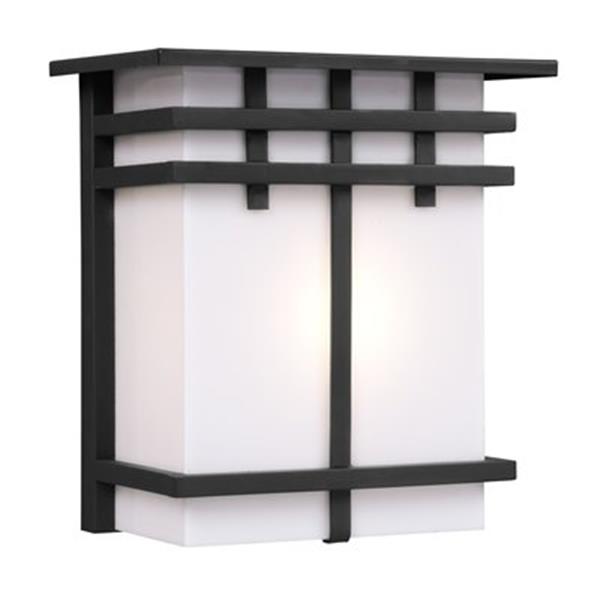 Galaxy Black with White Acrylic Lens Outdoor Sconce