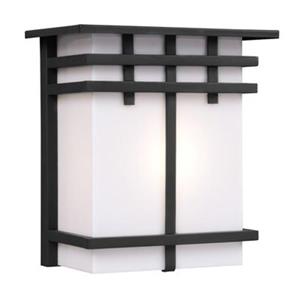 Galaxy Black with White Acrylic Lens Outdoor Sconce