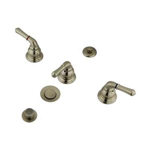 Elements of Design Magellan 3.92-in x 3.92-in Bidet Faucet