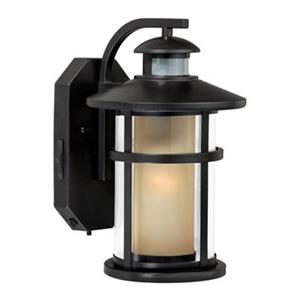Cascadia Cadiz Smart Light 8-in Motion Sensor Dusk to Dawn Outdoor Wall Light