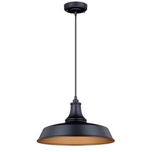 Cascadia Dorado 1-Light Bronze Gold Farmhouse Outdoor Barn Pendant Light