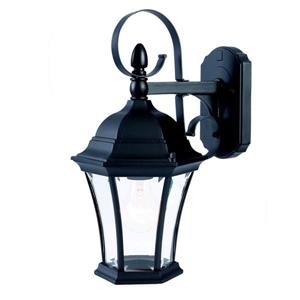 Acclaim Lighting New Orleans 16-in Matte Black Outdoor Wall Lantern