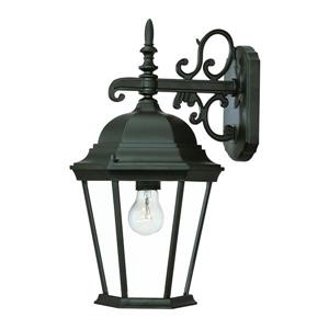 Acclaim Lighting Richmond Outdoor Wall-Mount Light- 1-Light