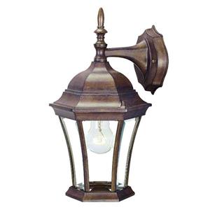 Acclaim Lighting Bryn Mawr 14.50-in x 8-in Burled Walnut Wall Mounted Lantern